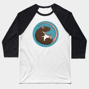 Berkshire Pet Rat Illustration Baseball T-Shirt